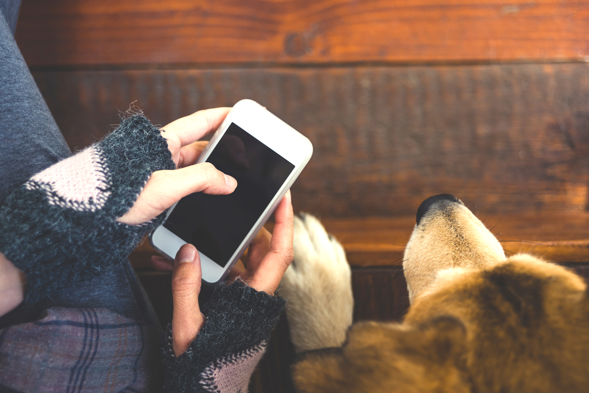 愛犬の側でスマートフォンを操作する人