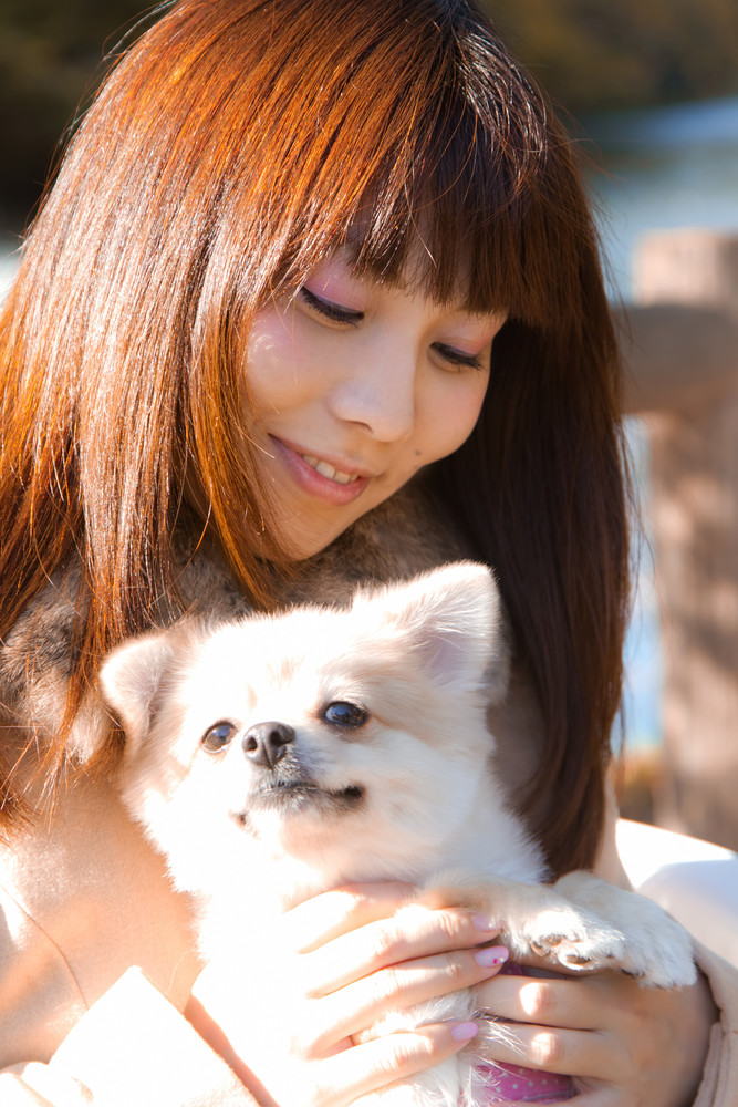 白い小型犬を抱きしめる女性