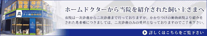 ホームドクターから当院を紹介された飼い主さまへ