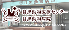 目黒動物医療センター  目黒動物病院