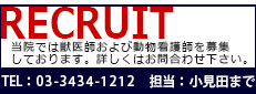 浜松町・新橋・芝公園・麻布エリアの動物病院　芝公園動物病院の画像　Rikuruite／リクルート情報