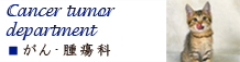 浜松町・新橋・芝公園・麻布エリアの動物病院　芝公園動物病院の画像　がん腫瘍科
