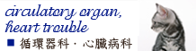 港区港南・品川エリアの動物病院　芝浦港南動物病院の画像　循環器科・心臓病科