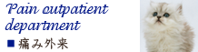 浜松町・新橋・芝公園・麻布エリアの動物病院　芝公園動物病院の画像　痛み外来