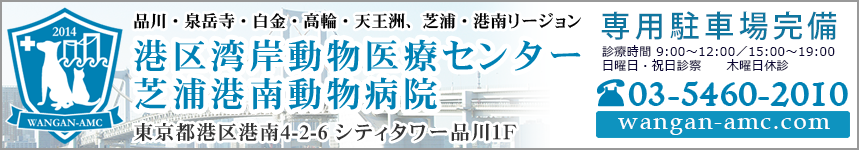 港区湾岸動物医療センター　芝浦港南動物病院